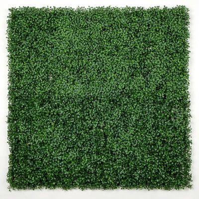 Dark Boxwood Artificial Vertical Garden Green Wall Panel 40×40in 11 SQ FT – UV Resistant – Commercial Grade