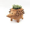 Hedgehog Planter - Coco Planter