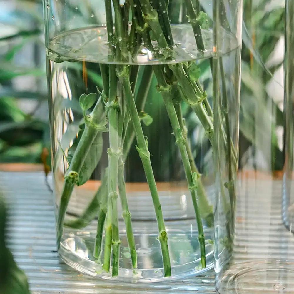 Acrylic Cylinder Flower Vase