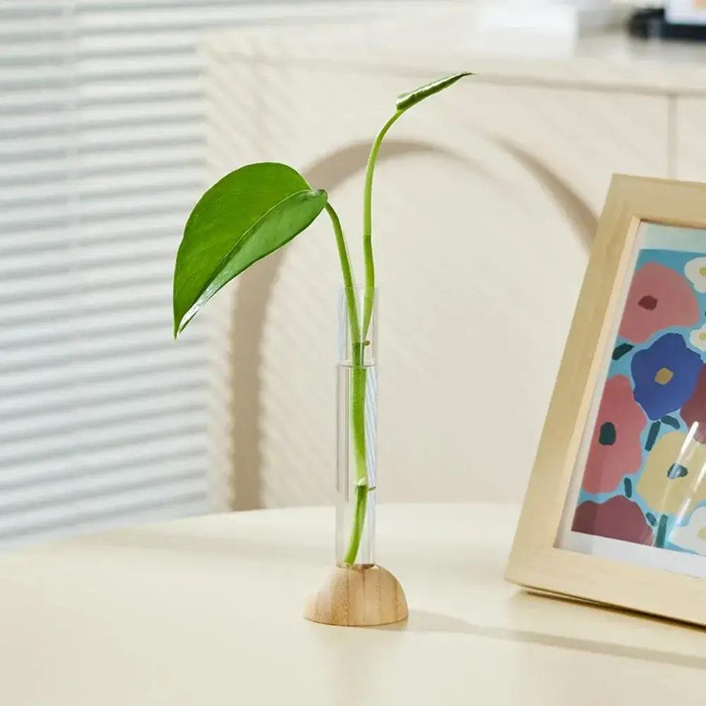 Glass Hydroponic Vase Bamboo