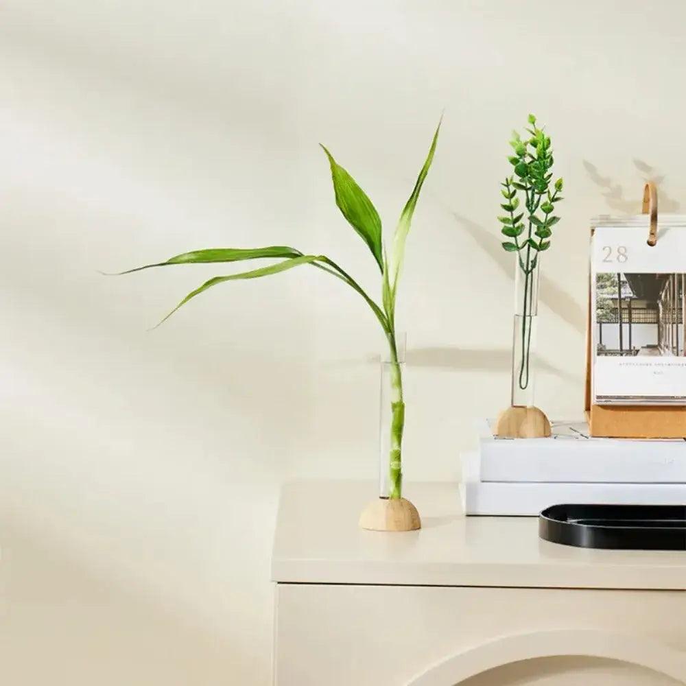 Glass Hydroponic Vase Bamboo
