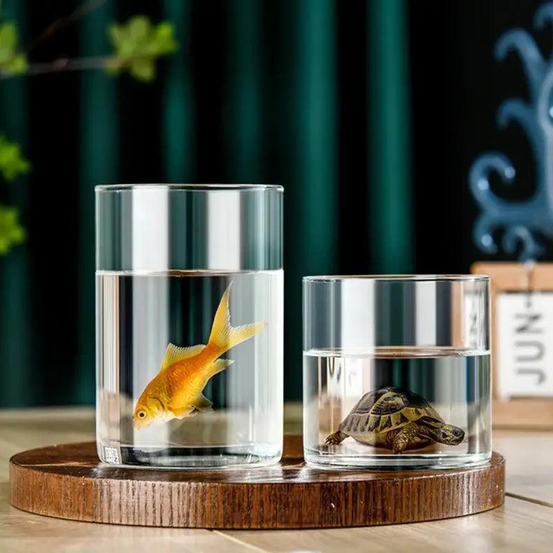 Glass Cylinder Vase Set