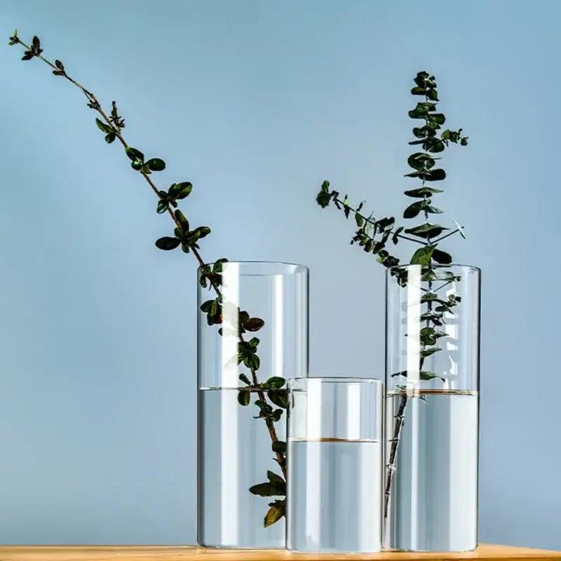 Glass Cylinder Vase Set