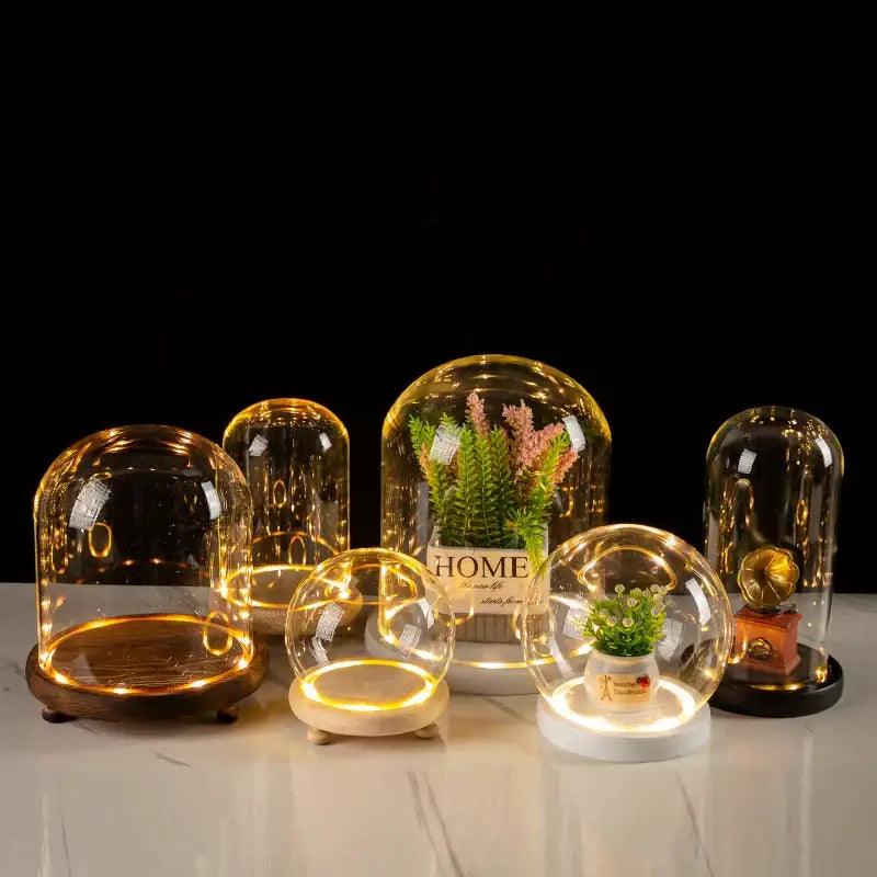 LED Glass Terrarium Vase