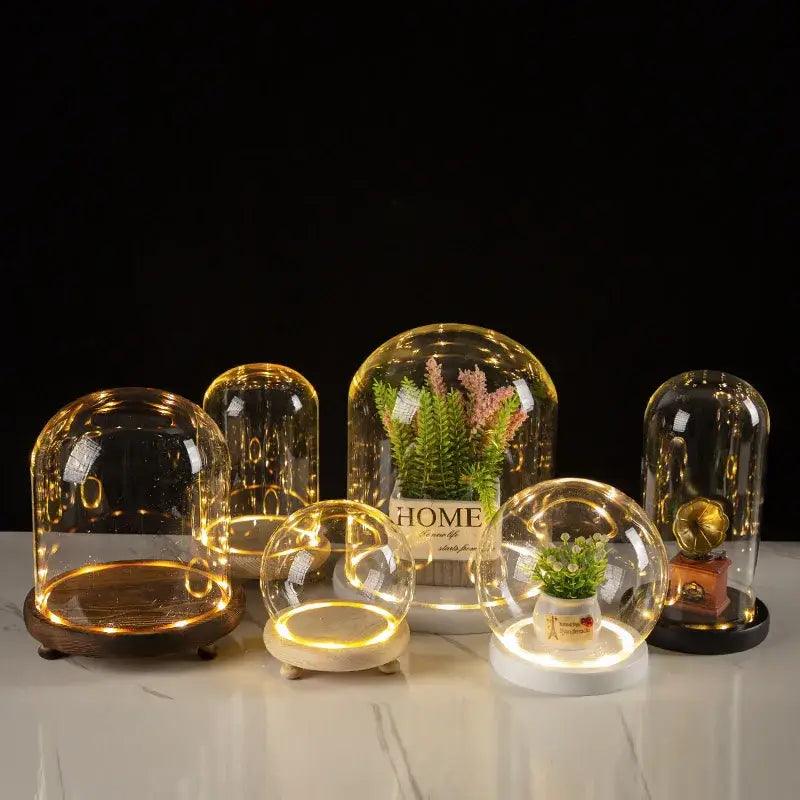 LED Glass Terrarium Vase