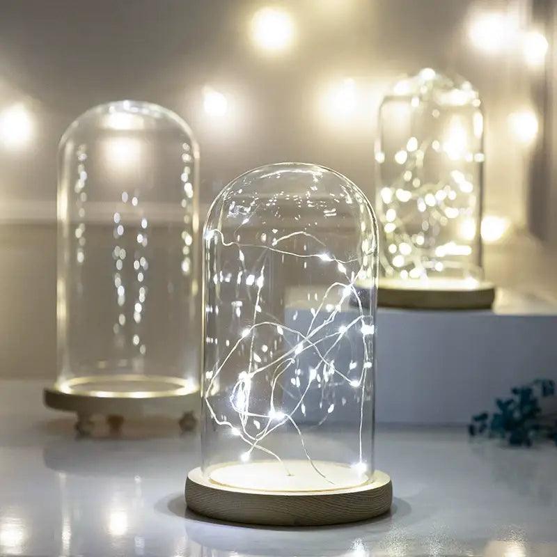 LED Glass Terrarium Vase