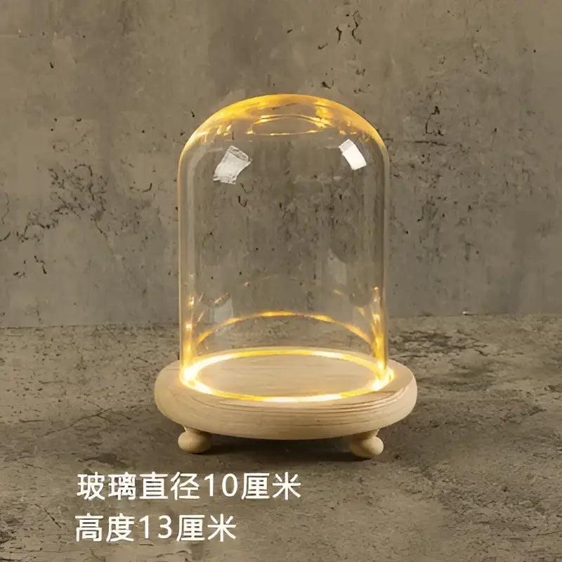LED Glass Terrarium Vase