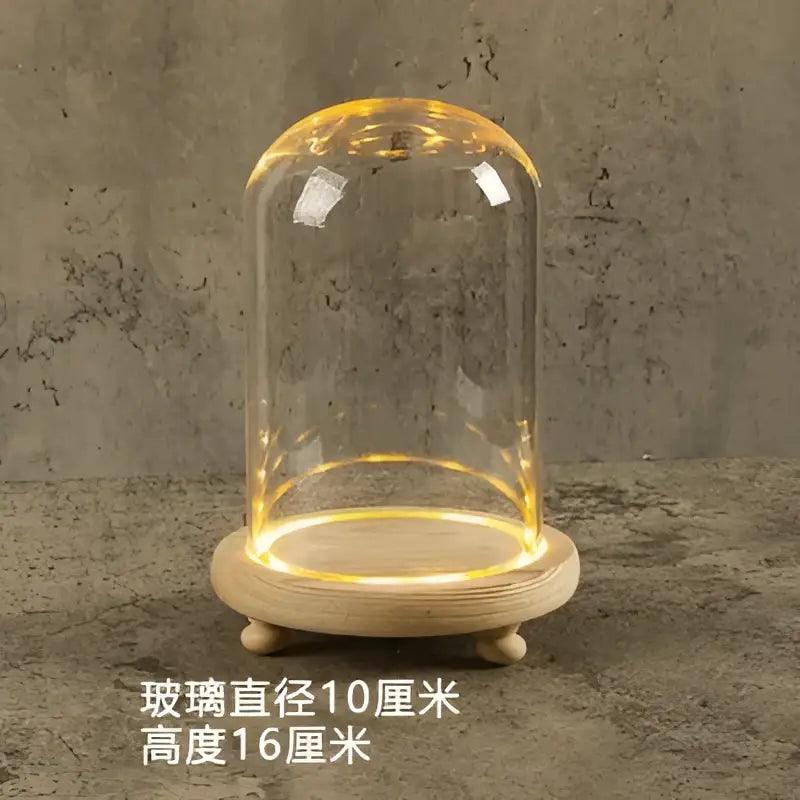 LED Glass Terrarium Vase