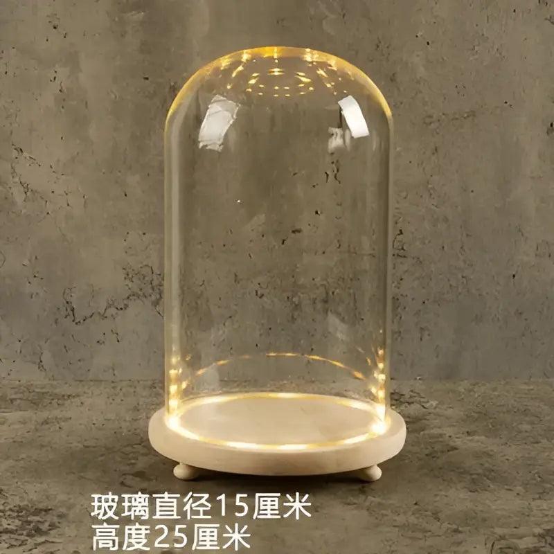LED Glass Terrarium Vase