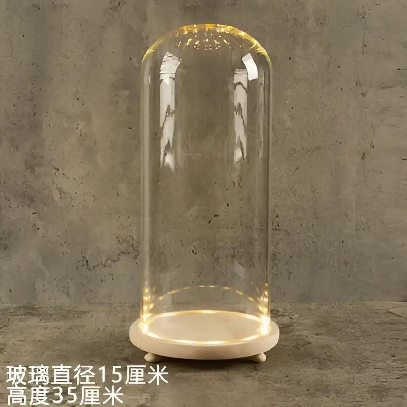 LED Glass Terrarium Vase