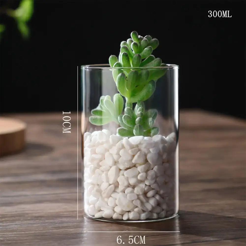 Clear Glass Flower Vase