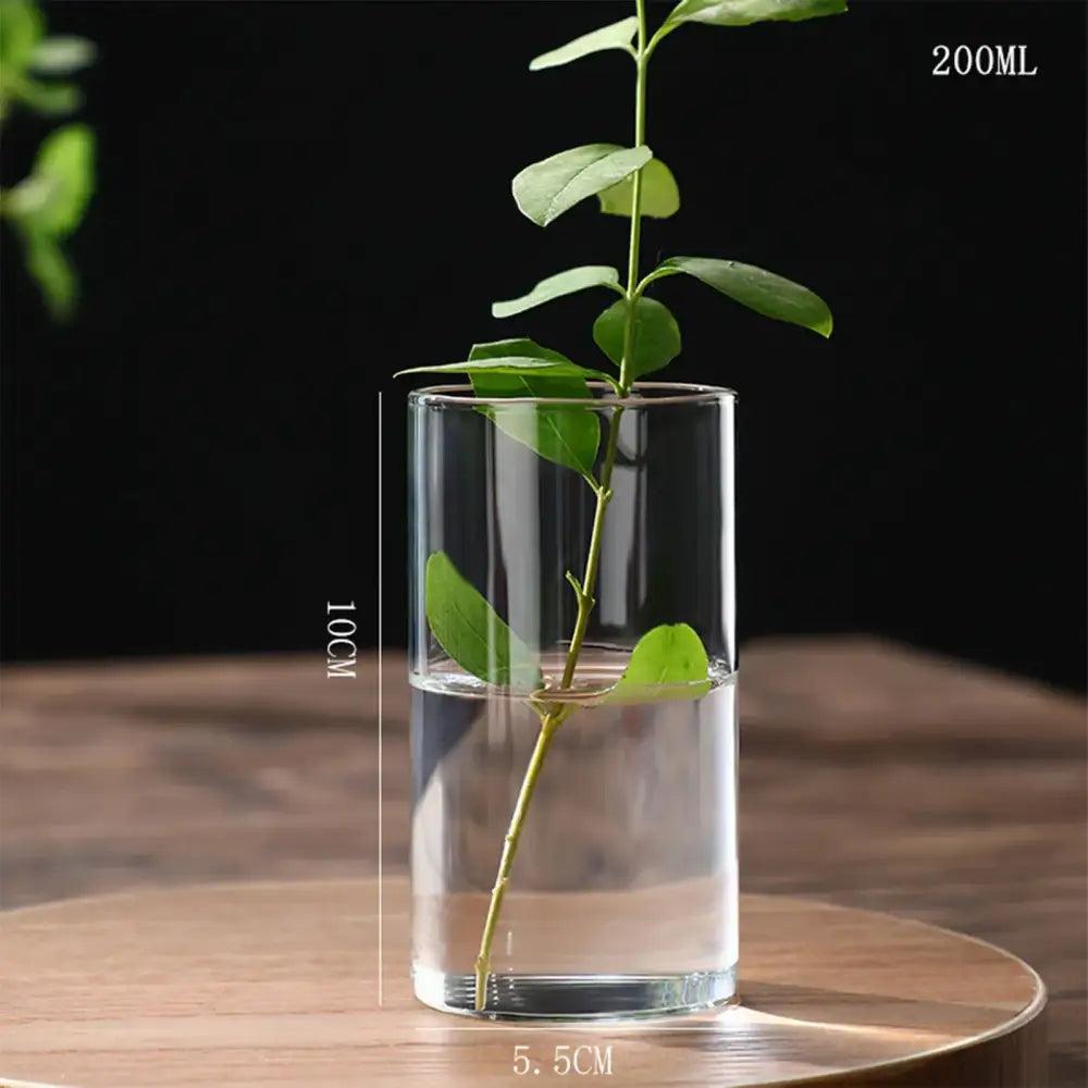 Clear Glass Flower Vase