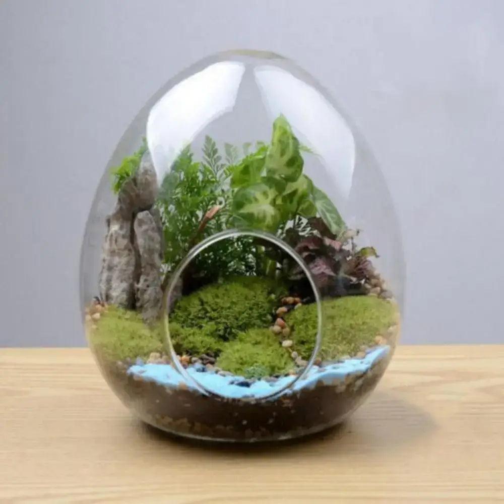 Glass Egg Terrarium Vase