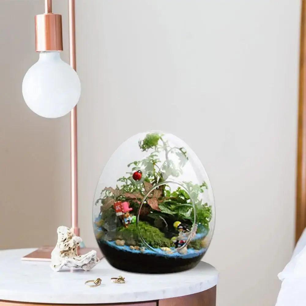 Glass Egg Terrarium Vase