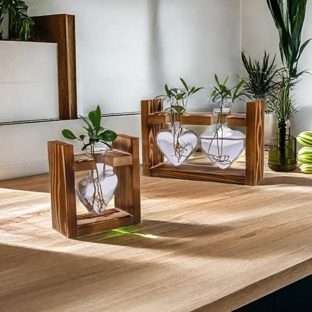 Heart Hydroponic Glass Vase