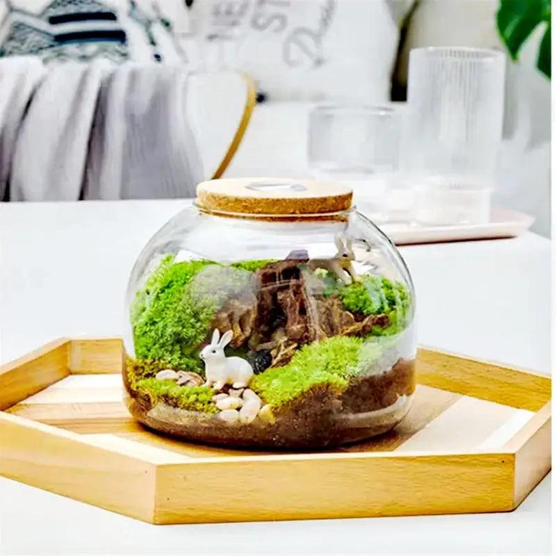 Moss Glass Vase Terrarium