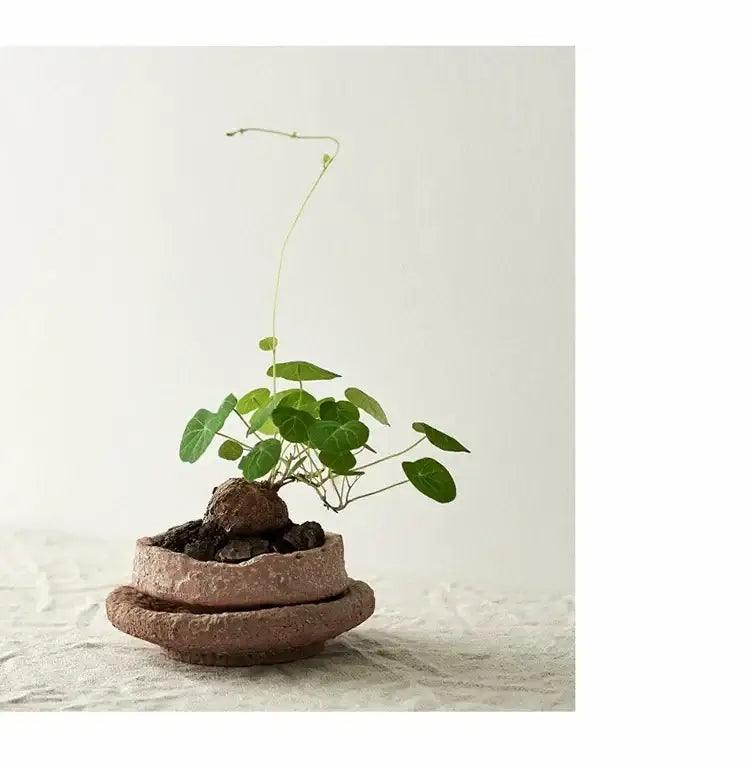 Terracotta Ceramic Vase Set