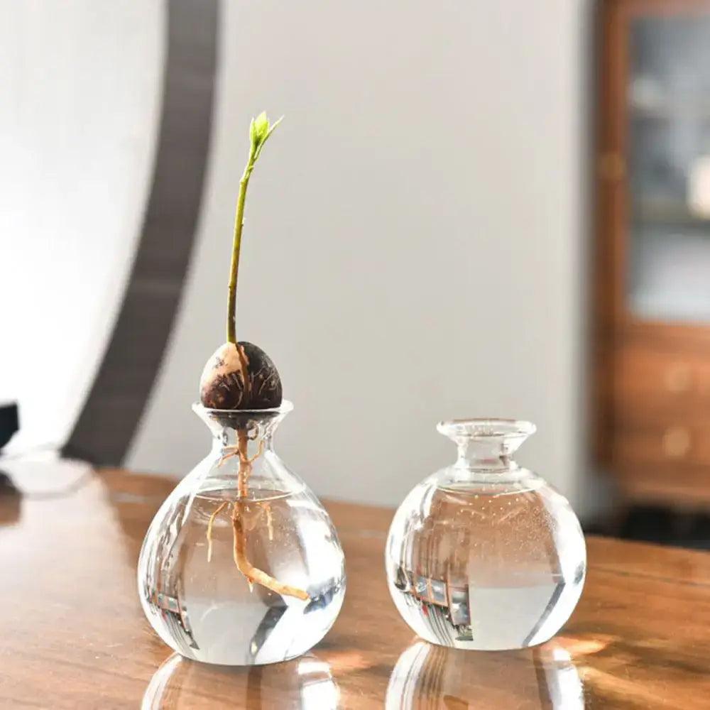 Clear Glass Avocado Vase