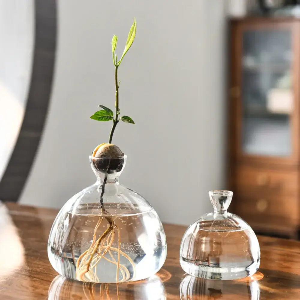 Clear Glass Avocado Vase
