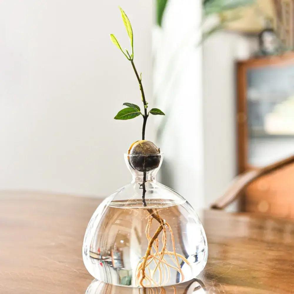 Clear Glass Avocado Vase