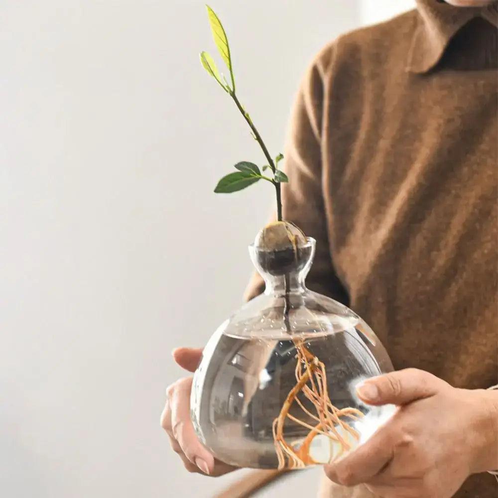 Clear Glass Avocado Vase