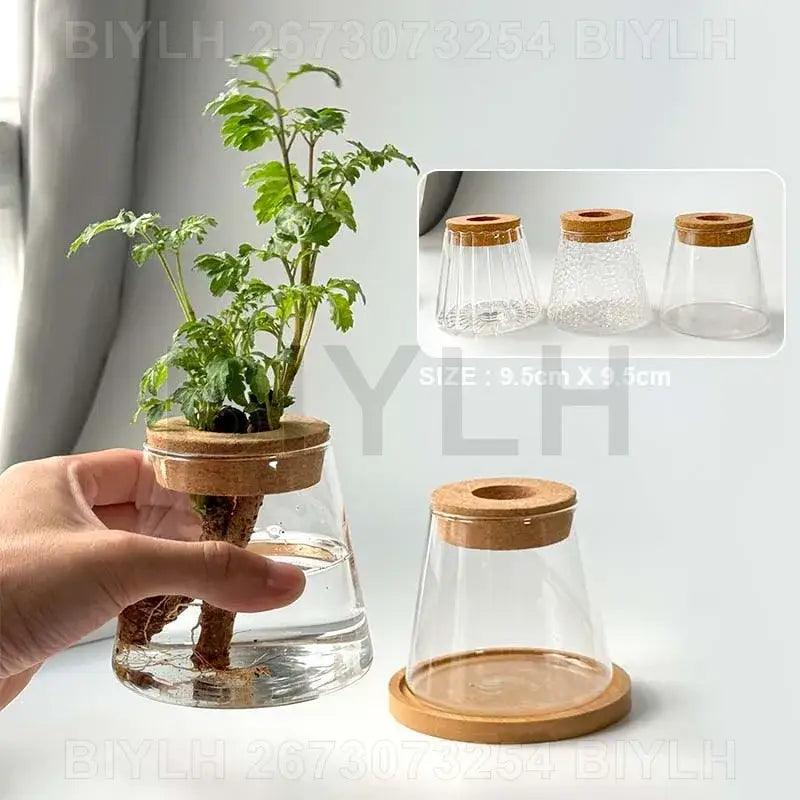 Glass and Wood Planters