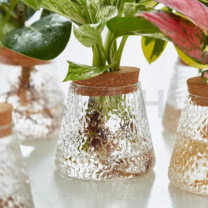 Glass and Wood Planters