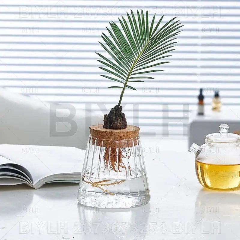 Glass and Wood Planters