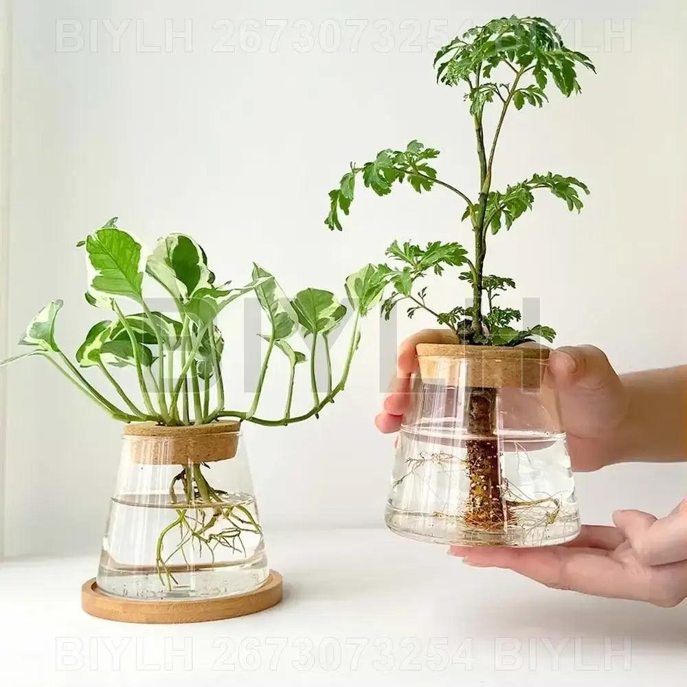 Glass and Wood Planters