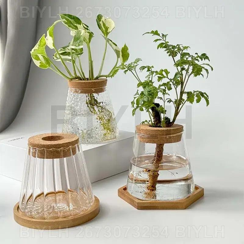 Glass and Wood Planters