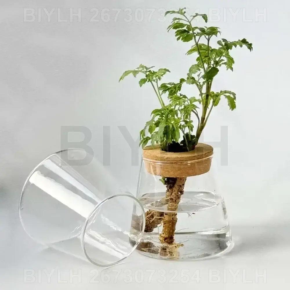 Glass and Wood Planters