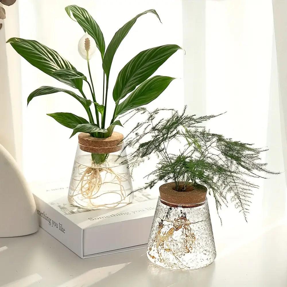 Nordic Glass Hydroponic Vase