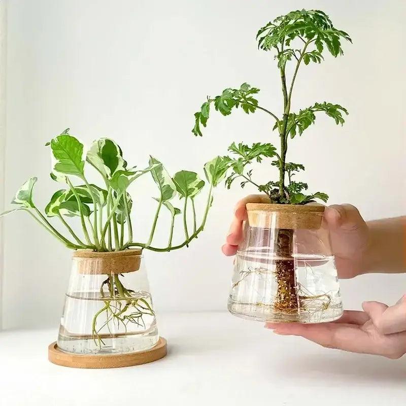 Nordic Glass Hydroponic Vase
