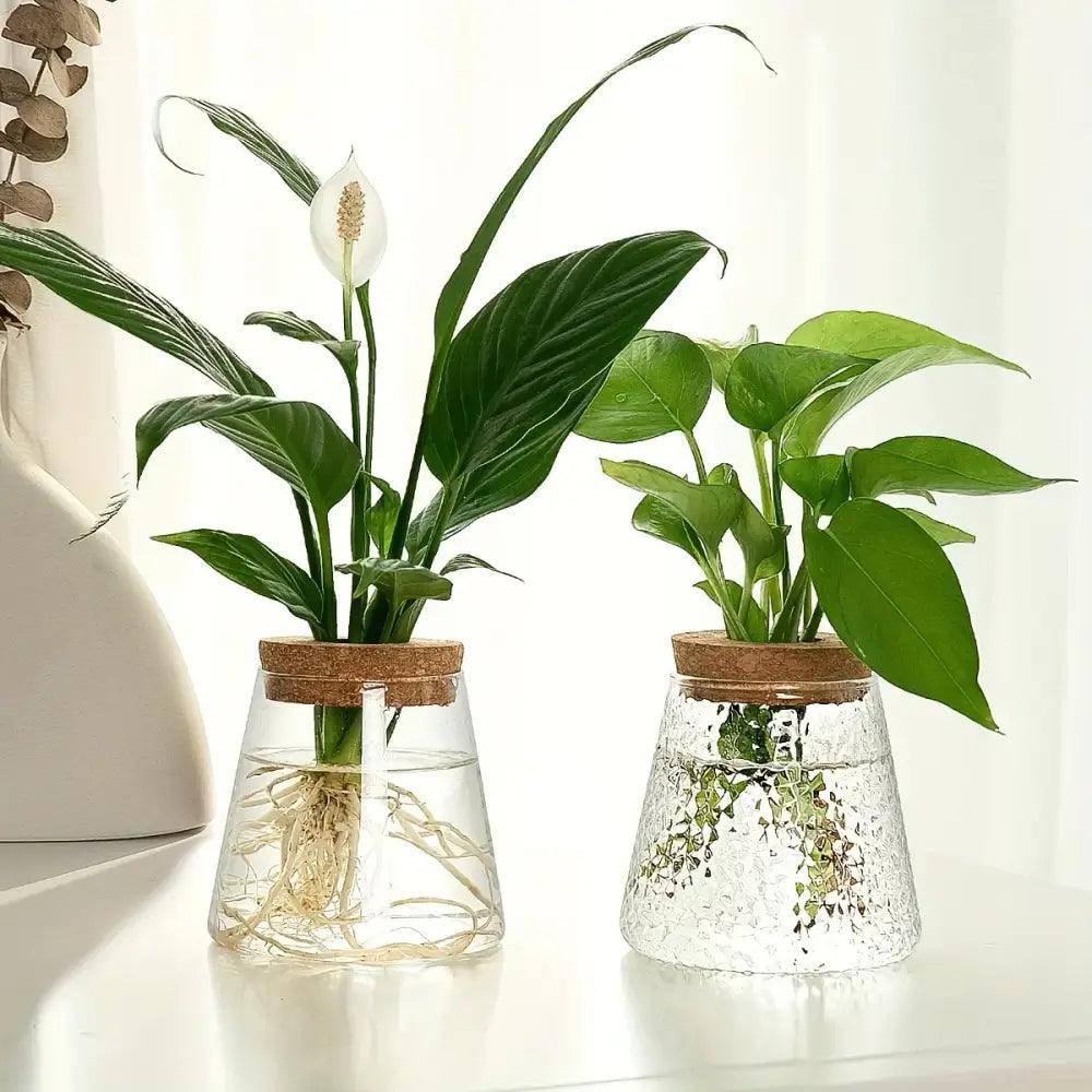 Nordic Glass Hydroponic Vase