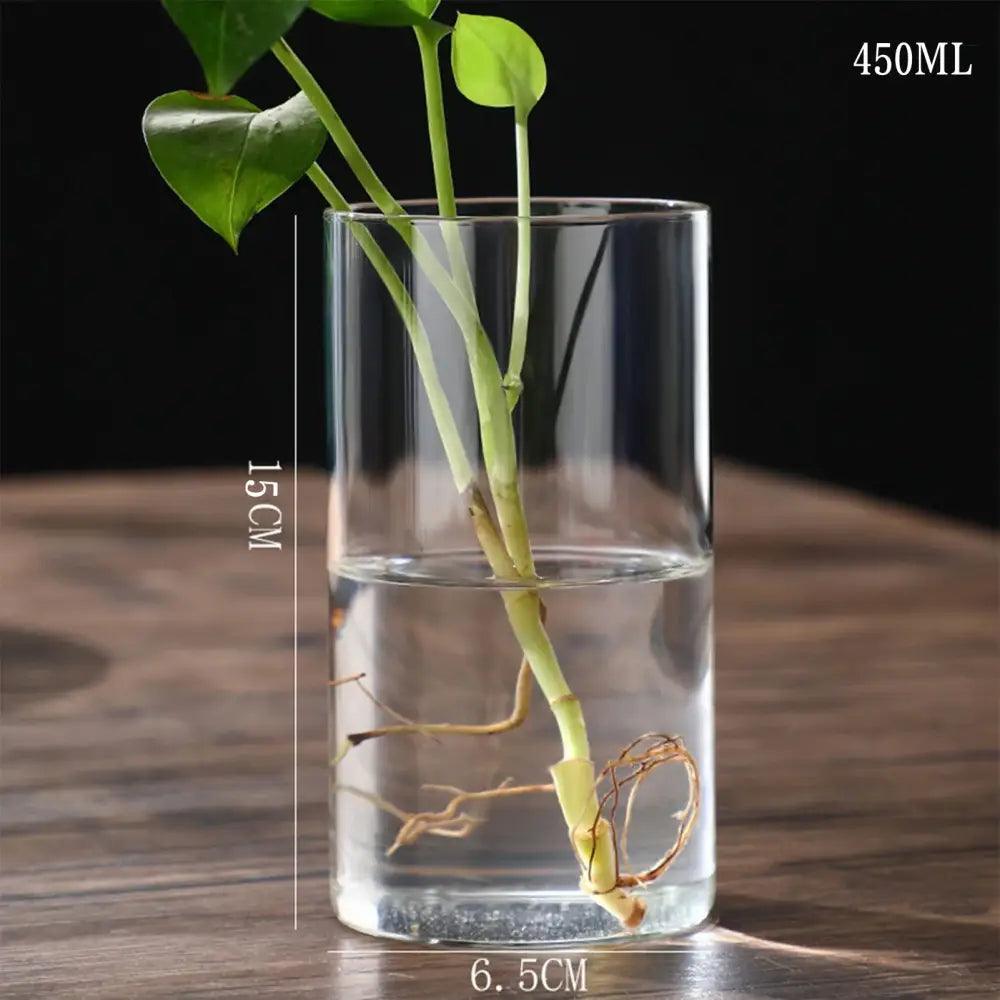 Glass Cylinder Hydroponic Vase
