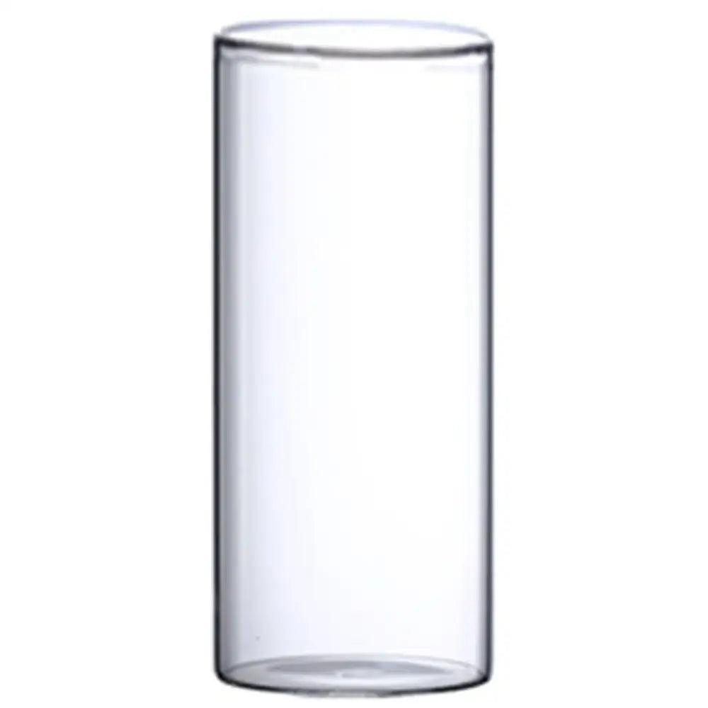 Glass Cylinder Hydroponic Vase