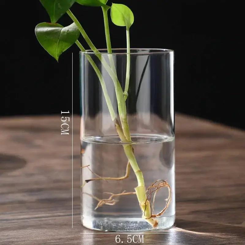 Glass Cylinder Hydroponic Vase