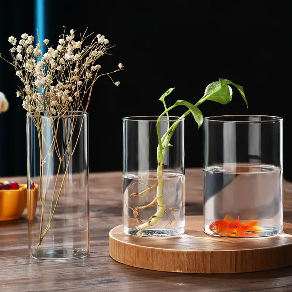 Glass Cylinder Hydroponic Vase