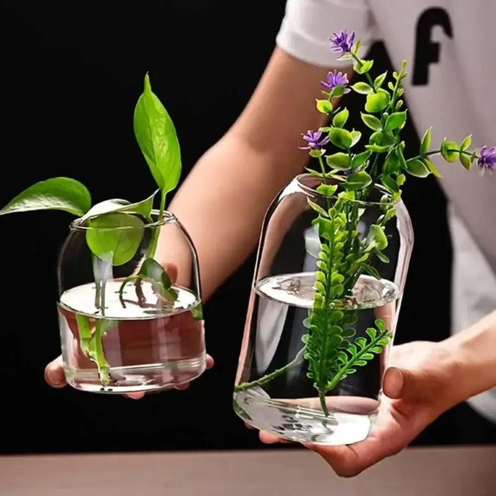 Glass Modern Hydroponic Vase