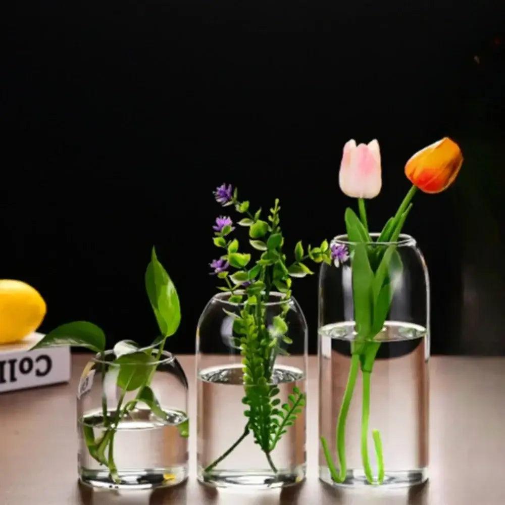 Glass Modern Hydroponic Vase
