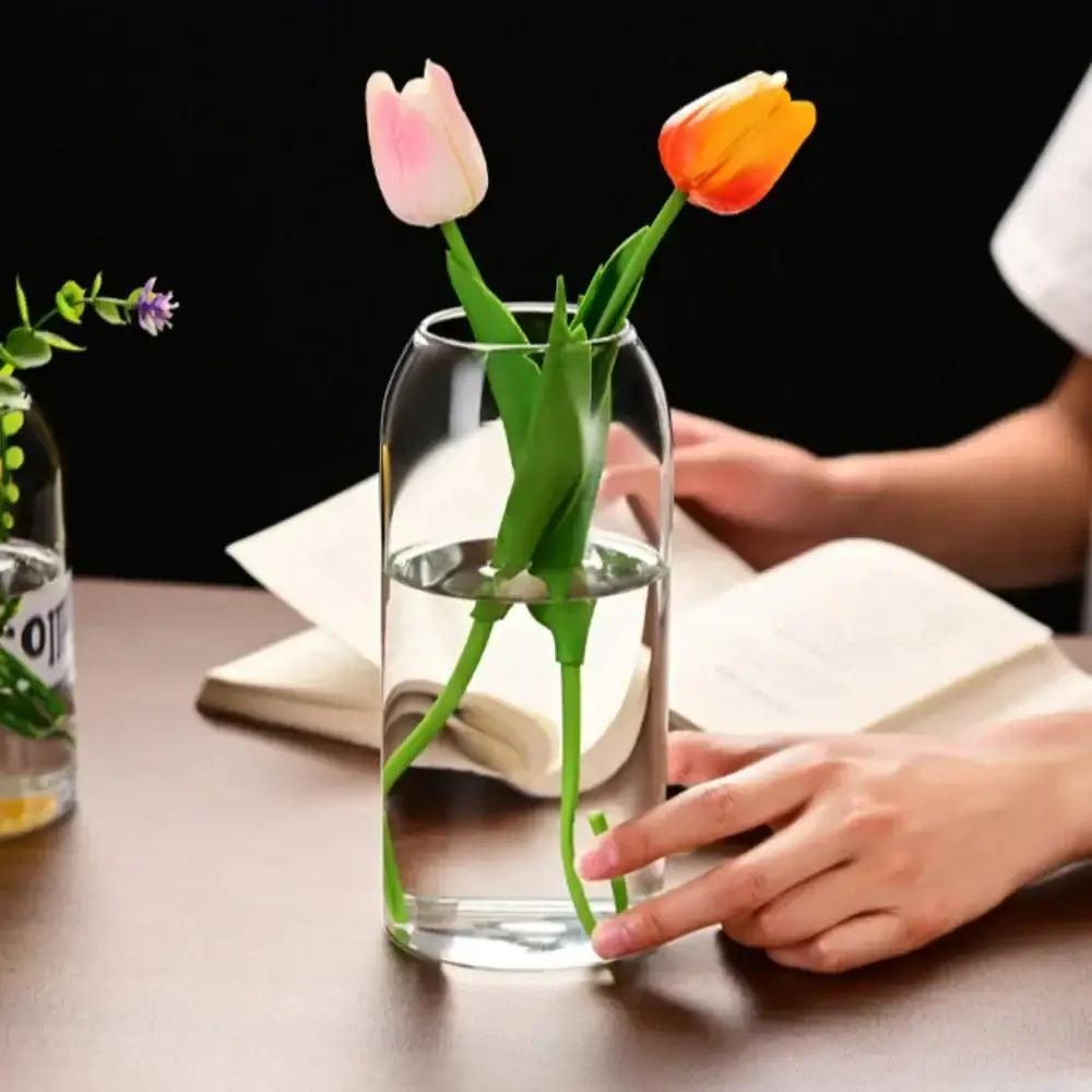 Glass Modern Hydroponic Vase