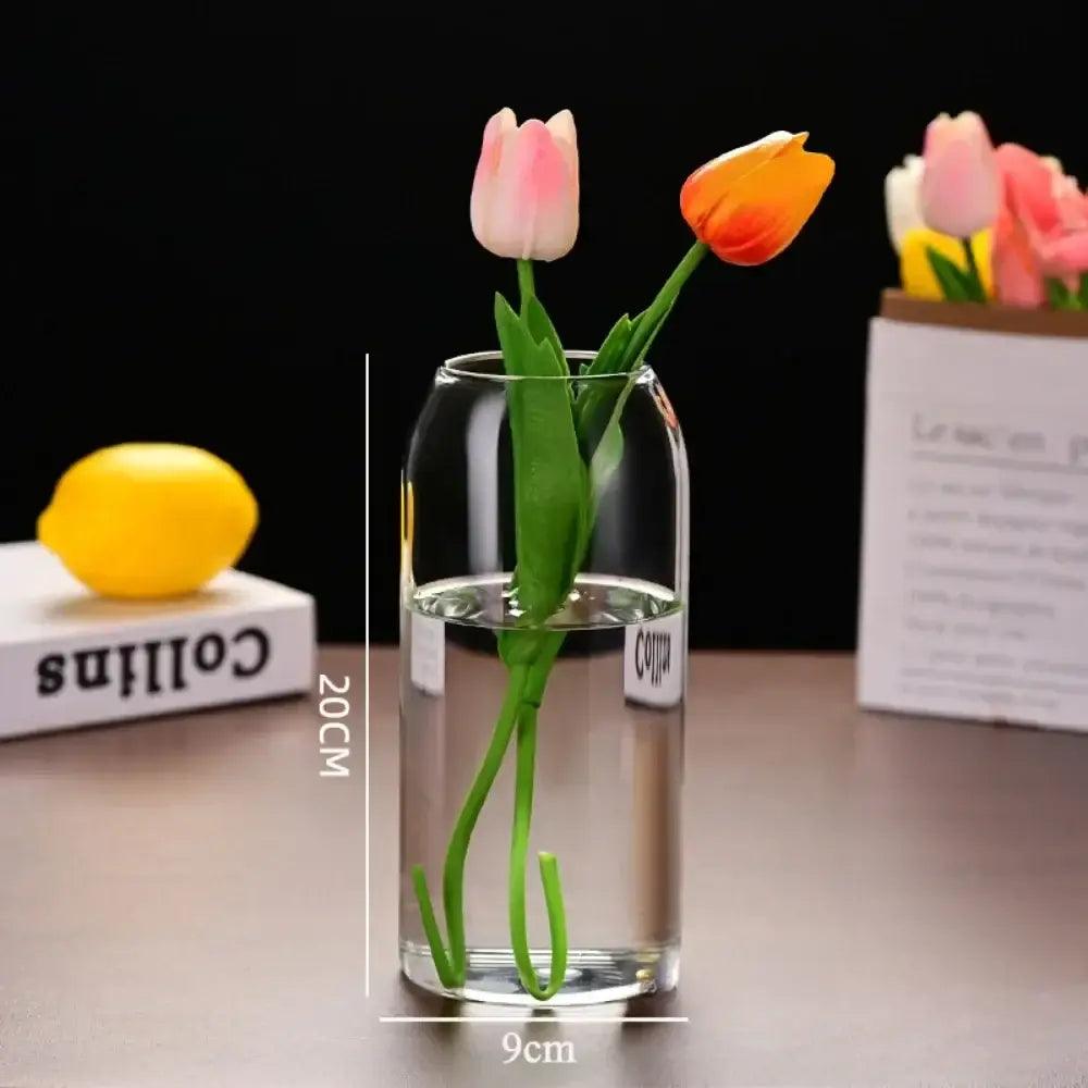 Glass Modern Hydroponic Vase