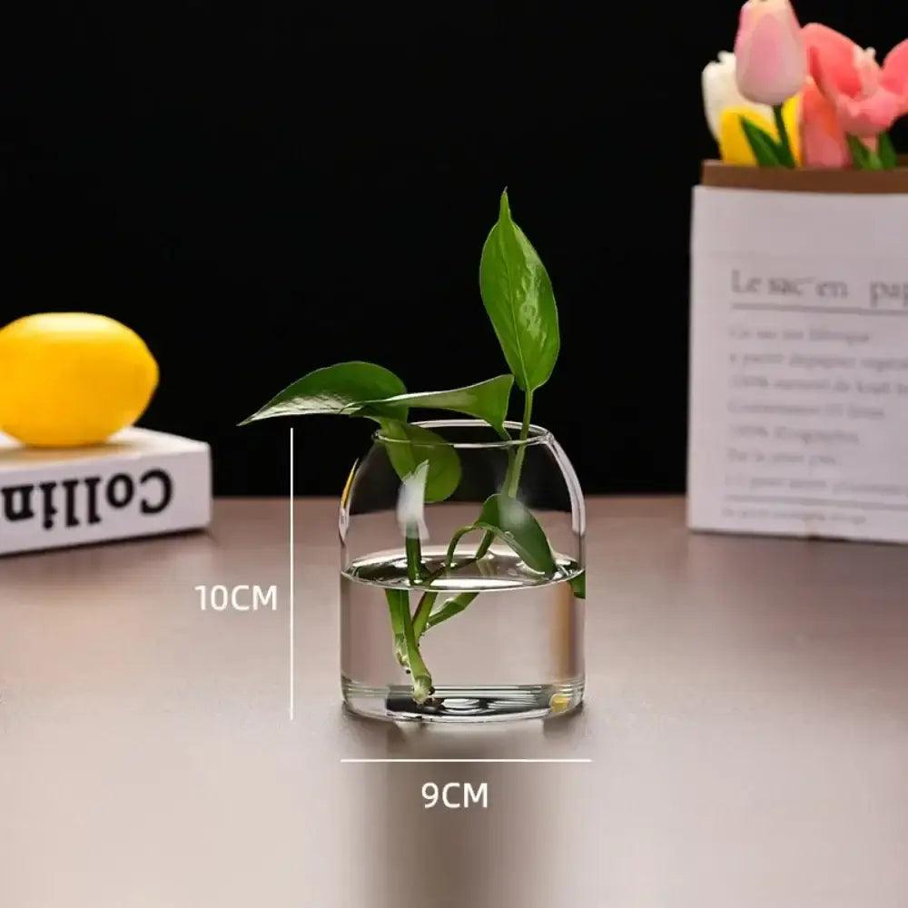 Glass Modern Hydroponic Vase