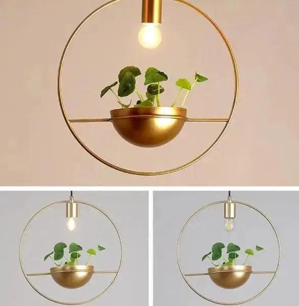 Gold Planter Pendant Light