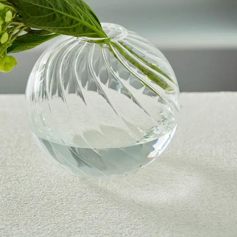 Transparent Glass Vase Set
