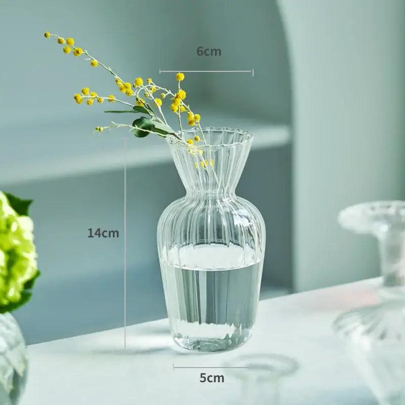 Transparent Glass Vase Set
