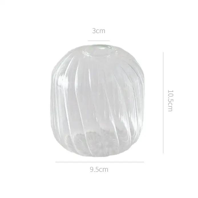 Transparent Glass Vase Set