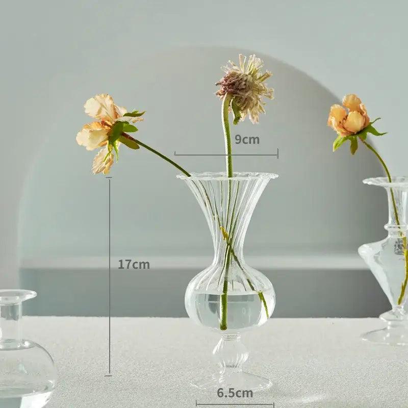 Transparent Glass Vase Set