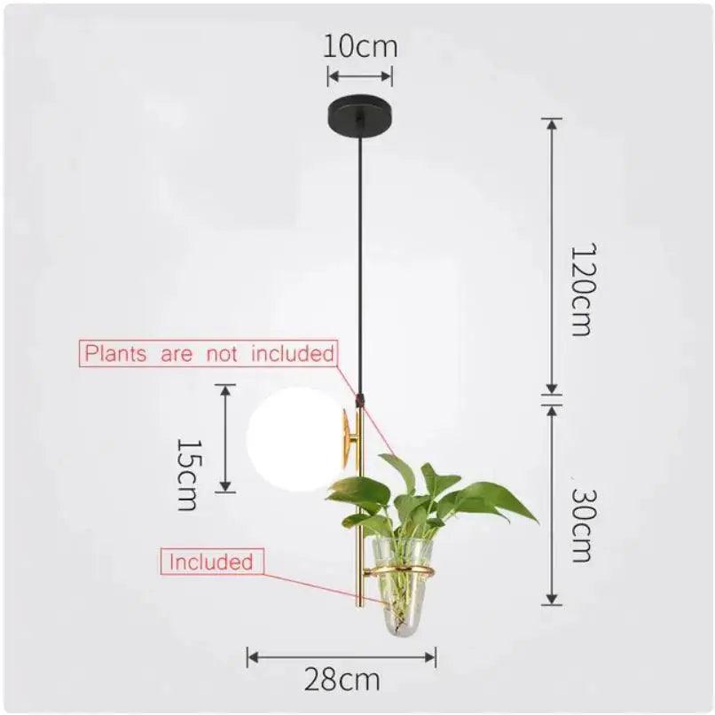 Black Glass Planter Pendant