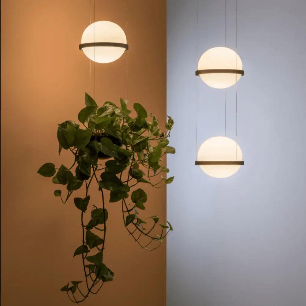 Black Frosted Glass Planter Pendant Light